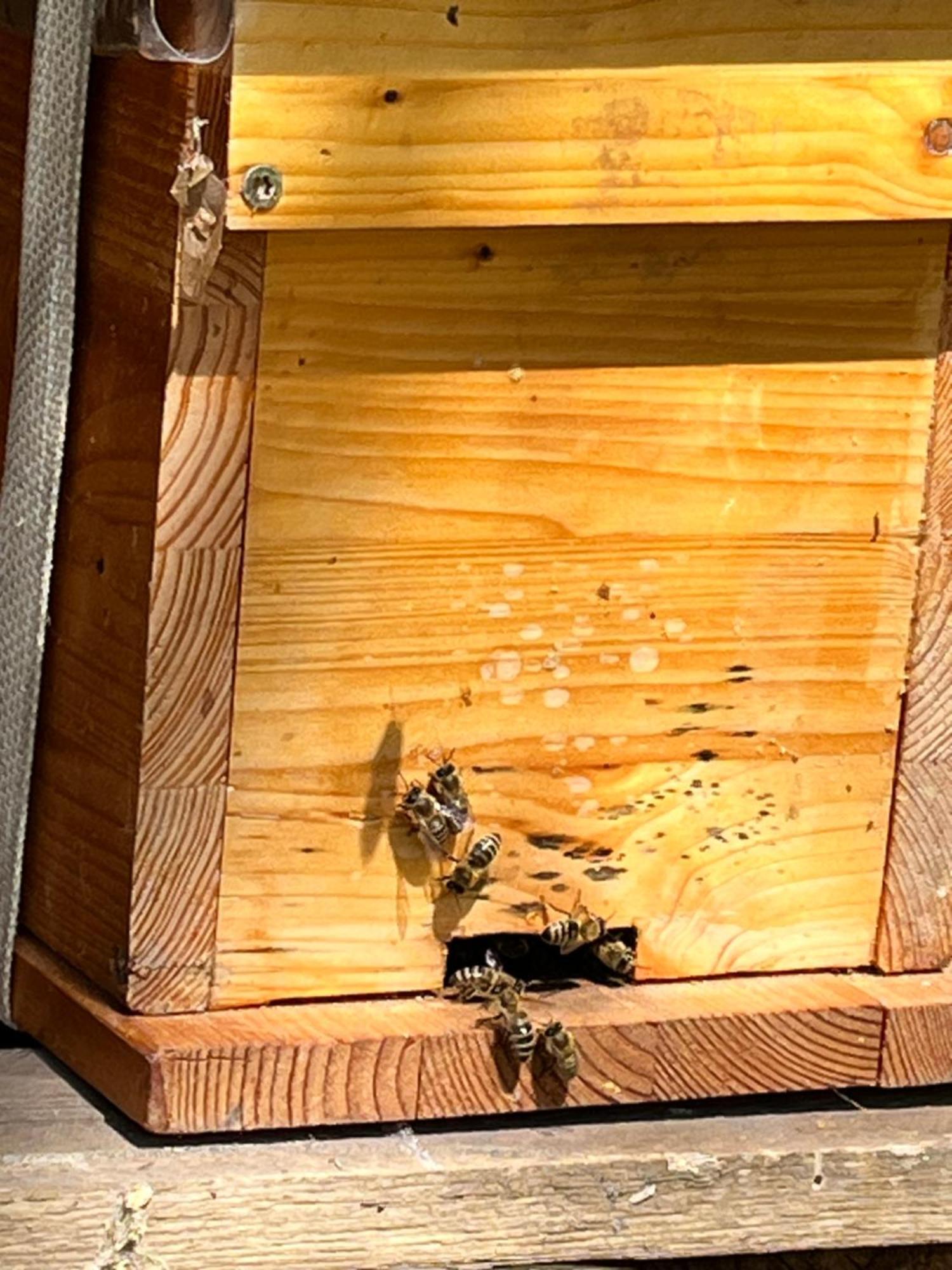 Wald Ist Zukunft Hotel Bernbeuren Exterior foto