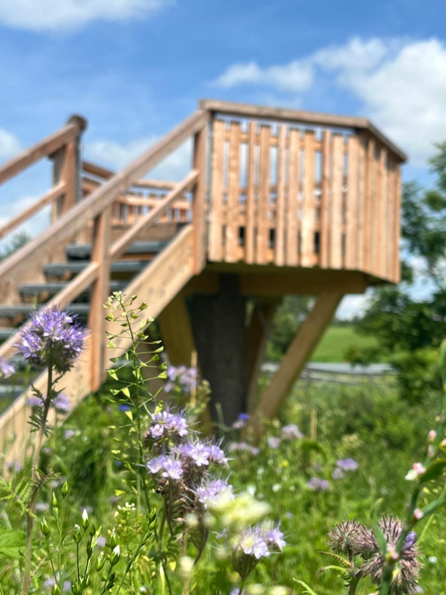 Wald Ist Zukunft Hotel Bernbeuren Exterior foto