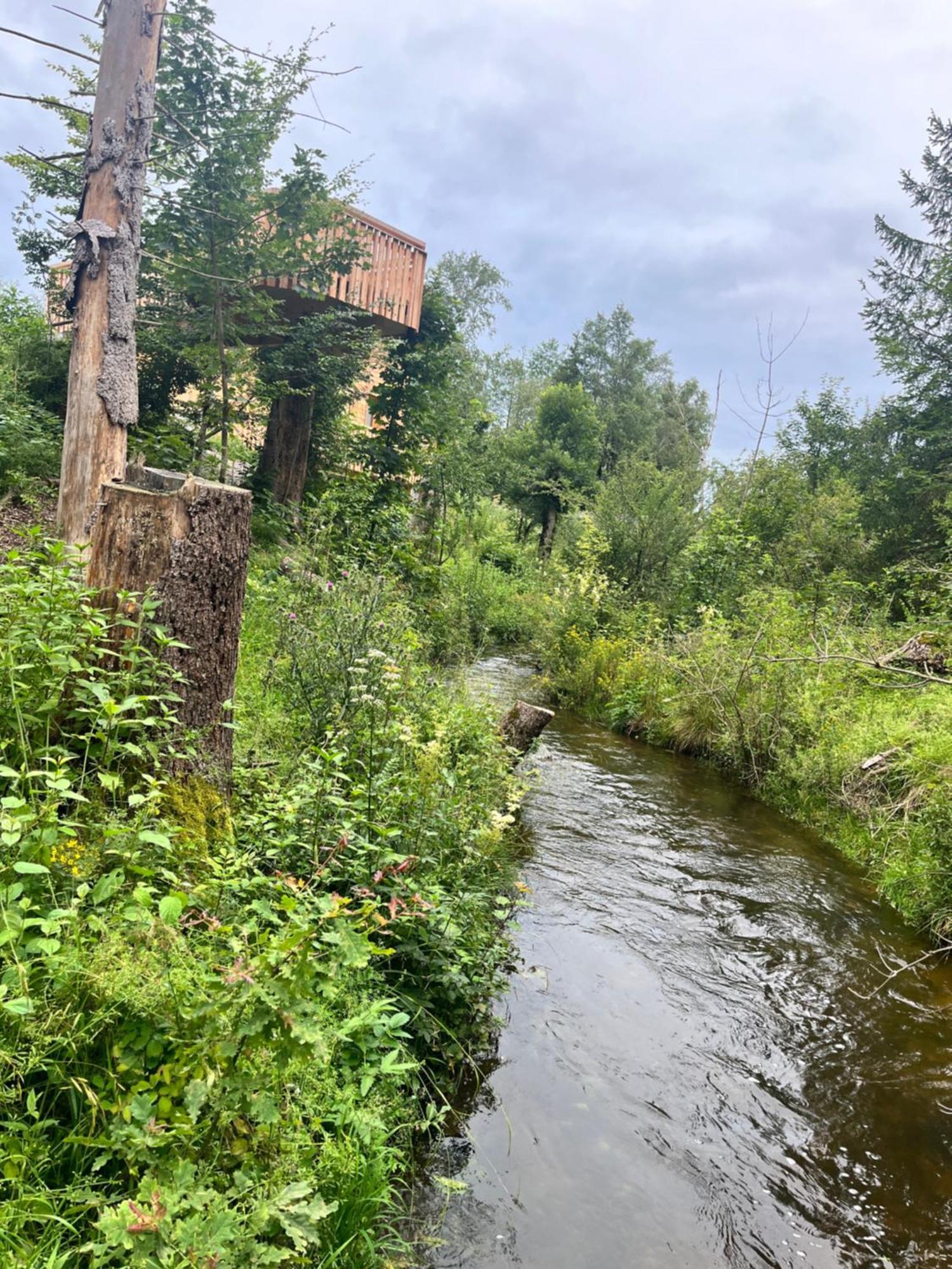 Wald Ist Zukunft Hotel Bernbeuren Exterior foto