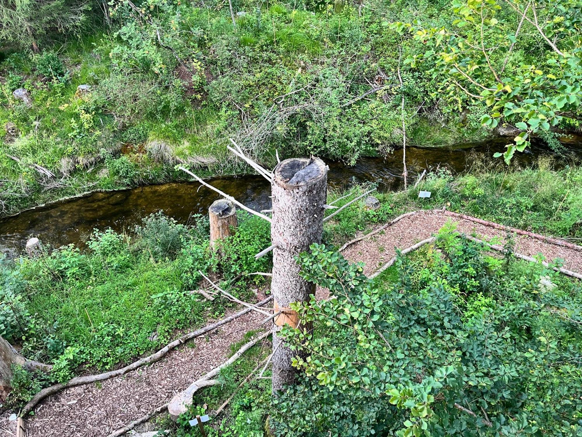 Wald Ist Zukunft Hotel Bernbeuren Exterior foto