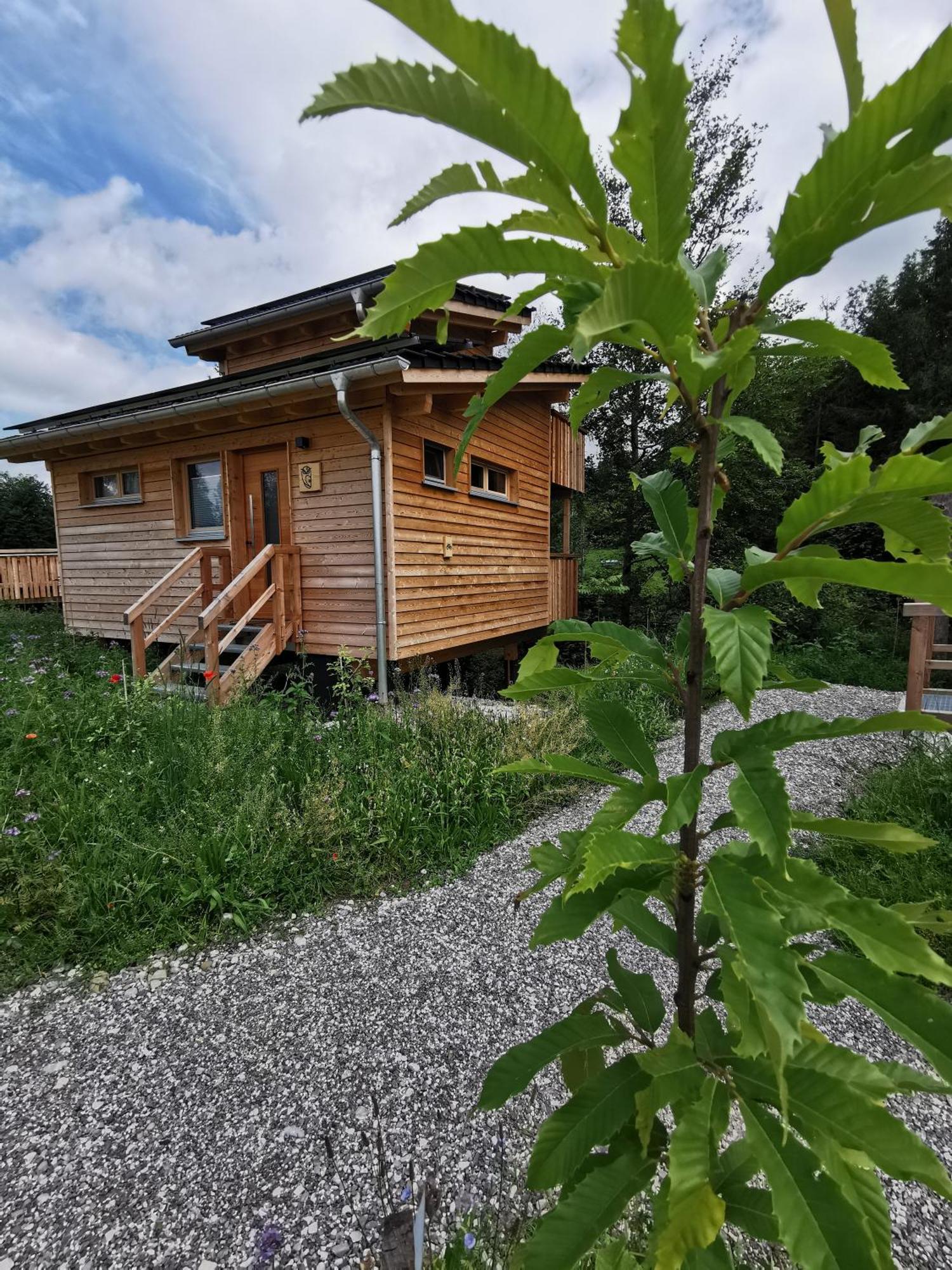 Wald Ist Zukunft Hotel Bernbeuren Exterior foto