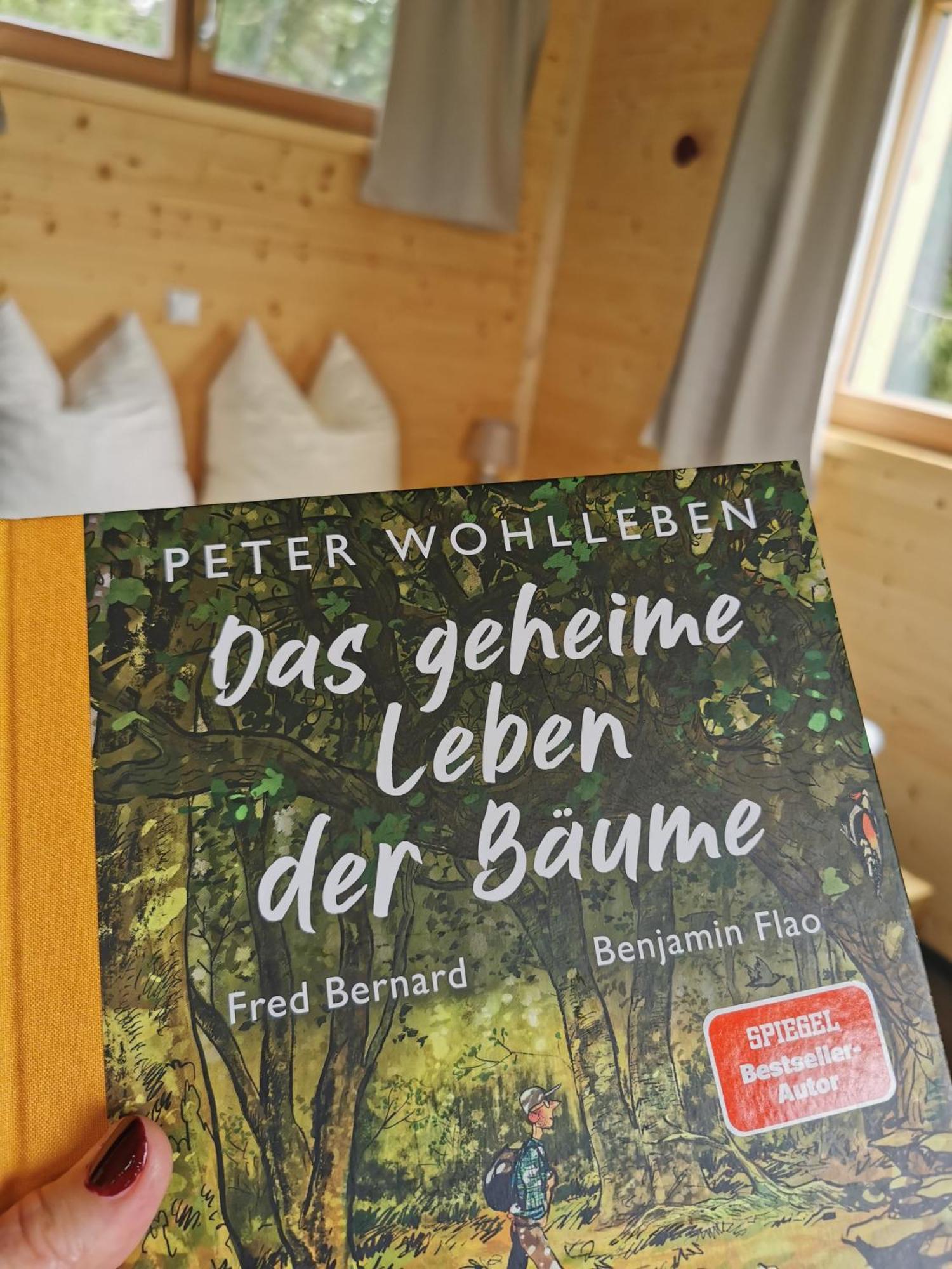 Wald Ist Zukunft Hotel Bernbeuren Exterior foto