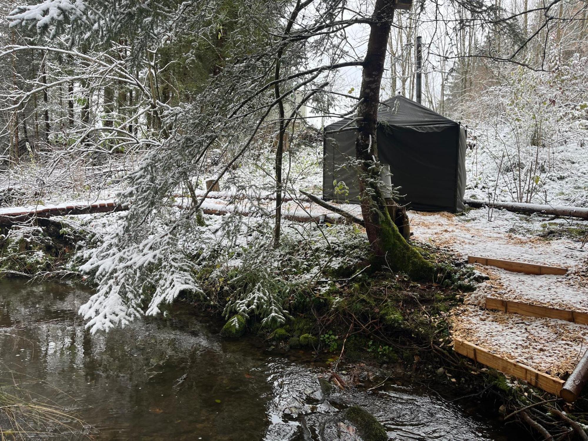 Wald Ist Zukunft Hotel Bernbeuren Exterior foto