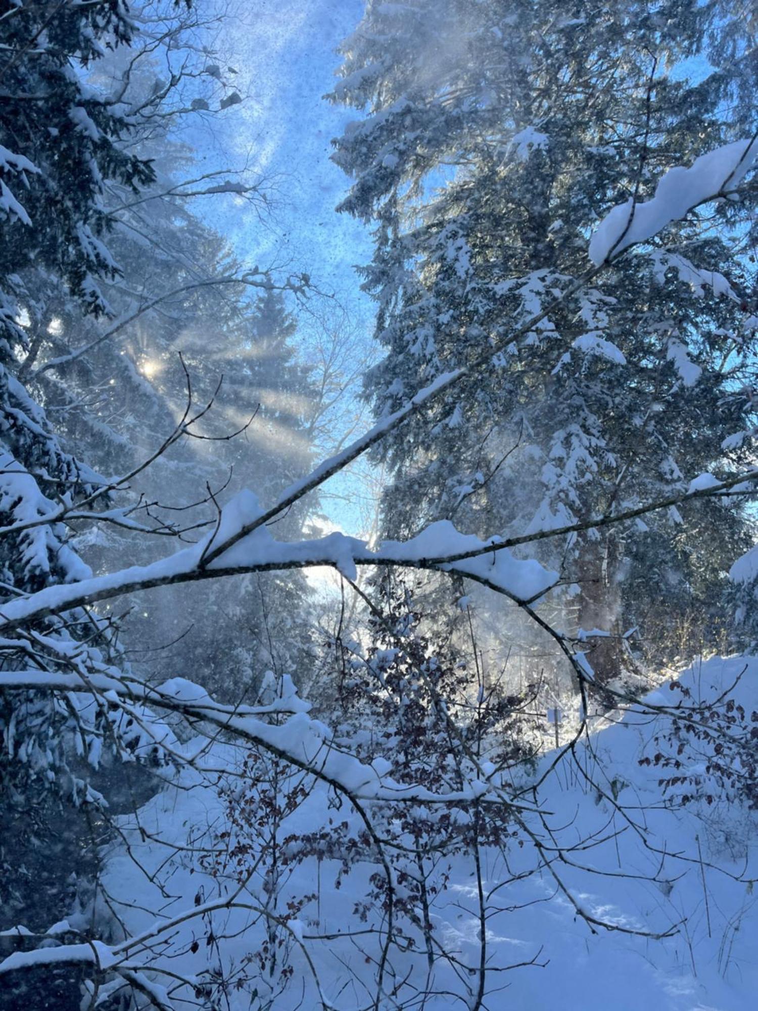 Wald Ist Zukunft Hotel Bernbeuren Exterior foto