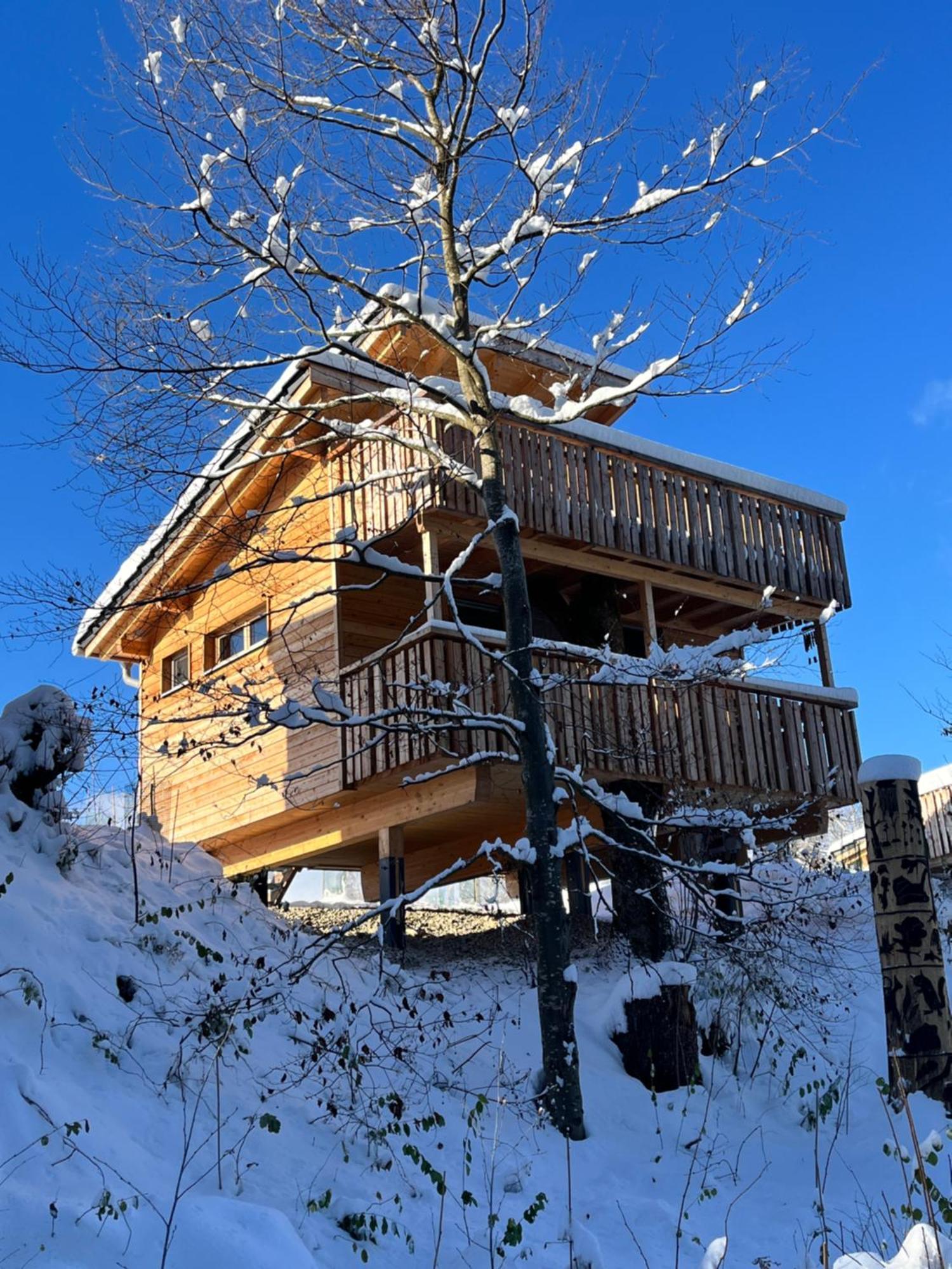 Wald Ist Zukunft Hotel Bernbeuren Exterior foto